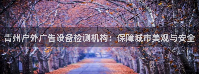 杏宇平台测速链接：青州户外广告设备检测机构：保障城市美观与安全