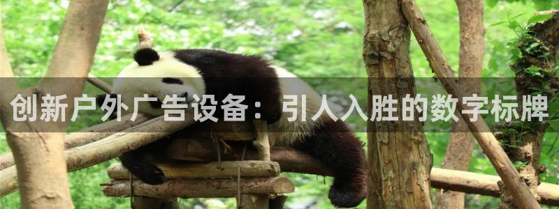 杏宇平台怎么样：创新户外广告设备：引人入胜的数字标牌
