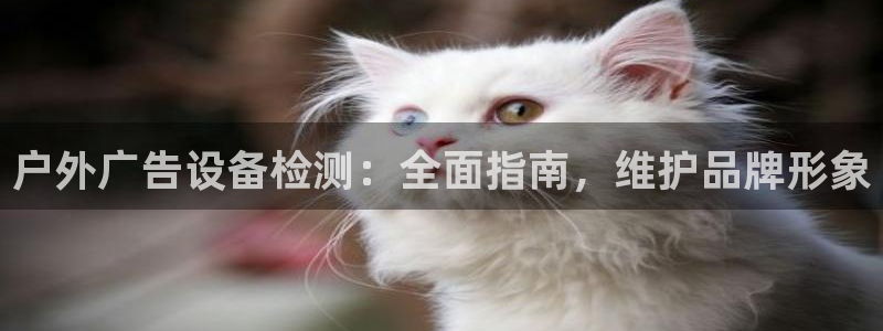 杏宇平台客服：户外广告设备检测：全面指南，维护品牌形象