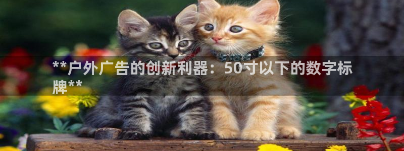 杏宇平台客服：**户外广告的创新利器：50寸以下的数字标
牌**