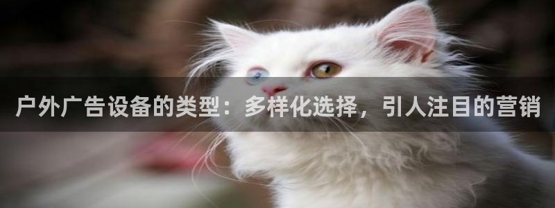 杏宇平台怎么样知乎：户外广告设备的类型：多样化选择，引人注目的营销