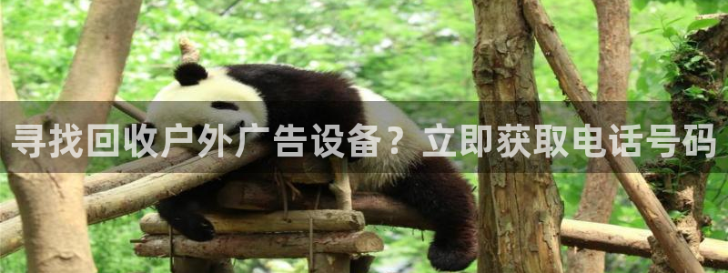 杏宇平台招商电话号码