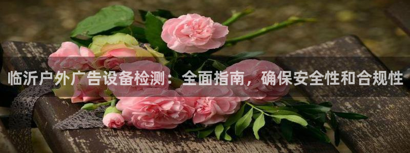 杏宇平台测速链接：临沂户外广告设备检测：全面指南，确保安全性和合规性