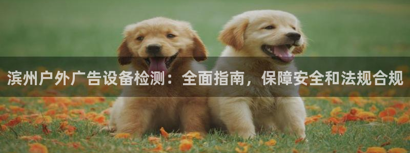 杏宇代理注册：滨州户外广告设备检测：全面指南，保障安全和法规合规