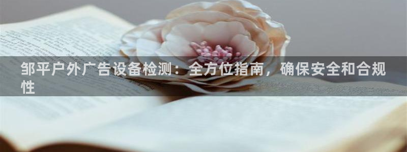 杏宇平台代理多少钱：邹平户外广告设备检测：全方位指南，确保安全和合规
性