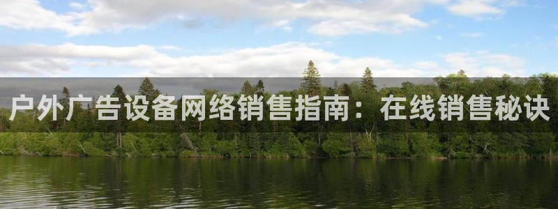 杏宇平台总代理是谁：户外广告设备网络销售指南：在线销售秘诀