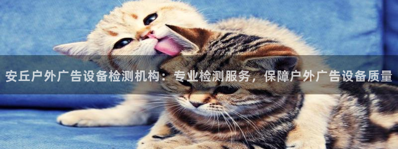 杏宇平台怎么样知乎：安丘户外广告设备检测机构：专业检测服务，保障户外广告设备质量