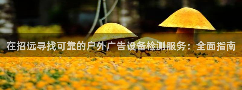 杏宇平台代理怎么赚钱的：在招远寻找可靠的户外广告设备检测服务：全面指南