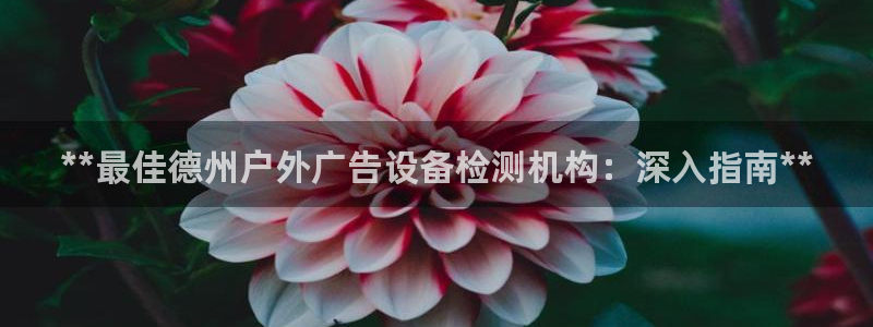 杏宇平台主管：**最佳德州户外广告设备检测机构：深入指南**