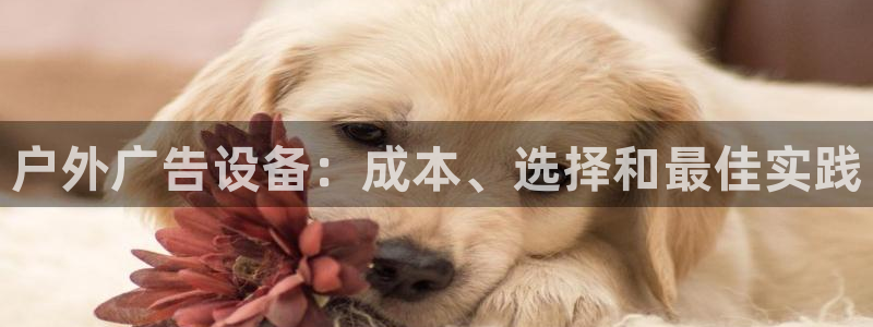 杏宇平台提现为什么这么久呢：户外广告设备：成本、选择和最佳实践