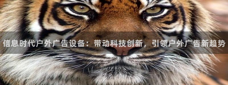 杏宇平台总代理电话