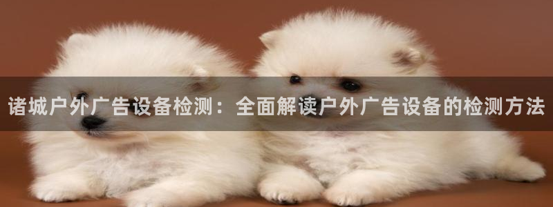 杏宇平台注册登录：诸城户外广告设备检测：全面解读户外广告设备的检测方法