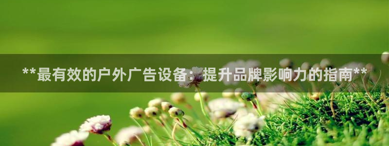 杏宇平台代理怎么样