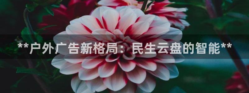 杏宇平台主管：**户外广告新格局：民生云盘的智能**