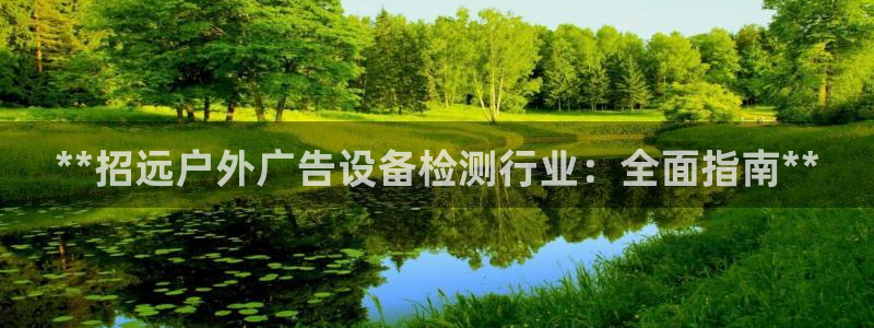 杏宇平台是什么：**招远户外广告设备检测行业：全面指南**