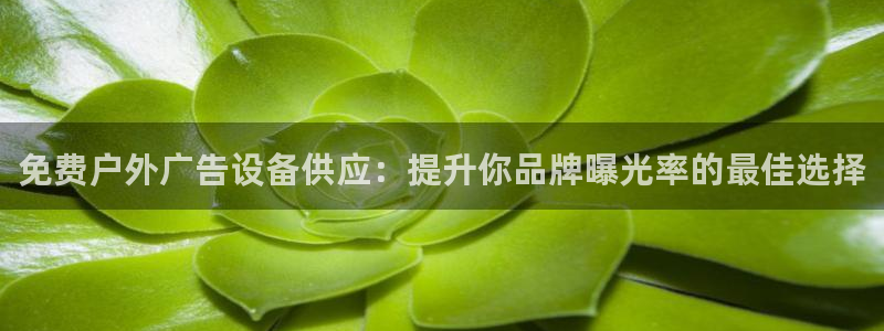 杏宇官方平台官网入口：免费户外广告设备供应：提升你品牌曝光率的最佳选择