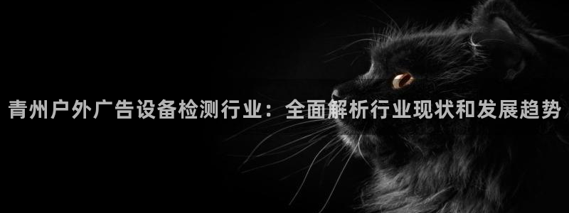 杏宇平台主管：青州户外广告设备检测行业：全面解析行业现状和发展趋势