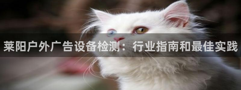 杏宇平台提现为什么这么久呢：莱阳户外广告设备检测：行业指南和最佳实践