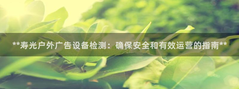 杏宇平台登录步骤图：**寿光户外广告设备检测：确保安全和有效运营的指南**