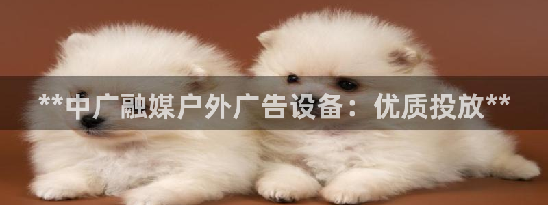 杏宇平台主管：**中广融媒户外广告设备：优质投放**