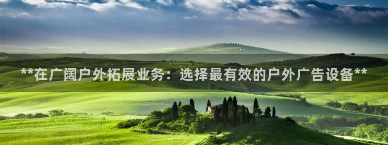 杏宇平台官网注册：**在广阔户外拓展业务：选择最有效的户外广告设备**