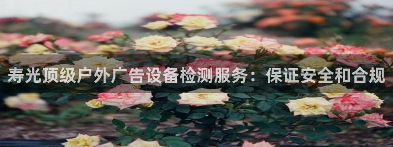 杏宇代理注册：寿光顶级户外广告设备检测服务：保证安全和合规