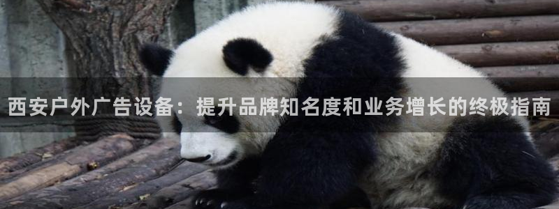 杏宇平台官网注册：西安户外广告设备：提升品牌知名度和业务增长的终极指南