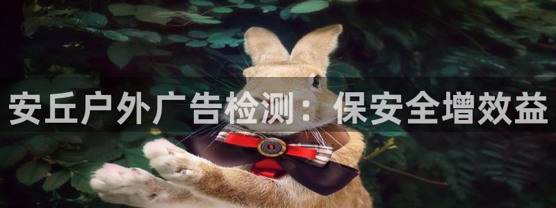 杏宇平台官网注册：安丘户外广告检测：保安全增效益