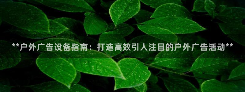 杏宇平台登录方法：**户外广告设备指南：