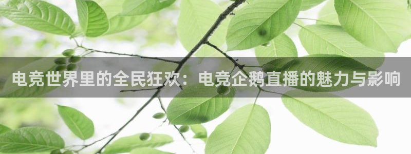 火狐电竞官方网站