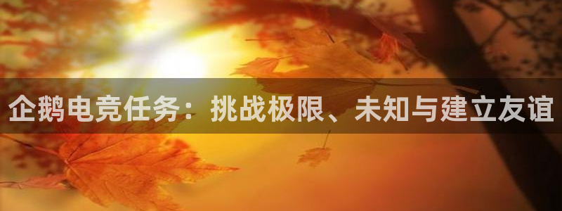 火狐电竞